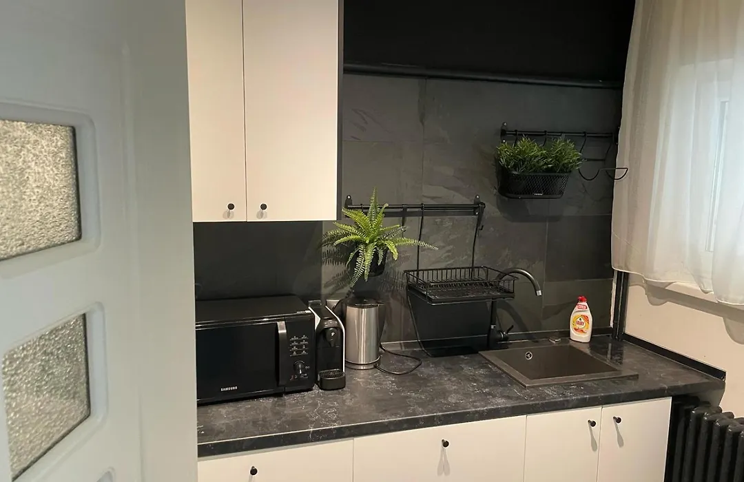 Center 1 Bdrm Apt With Terrace-1